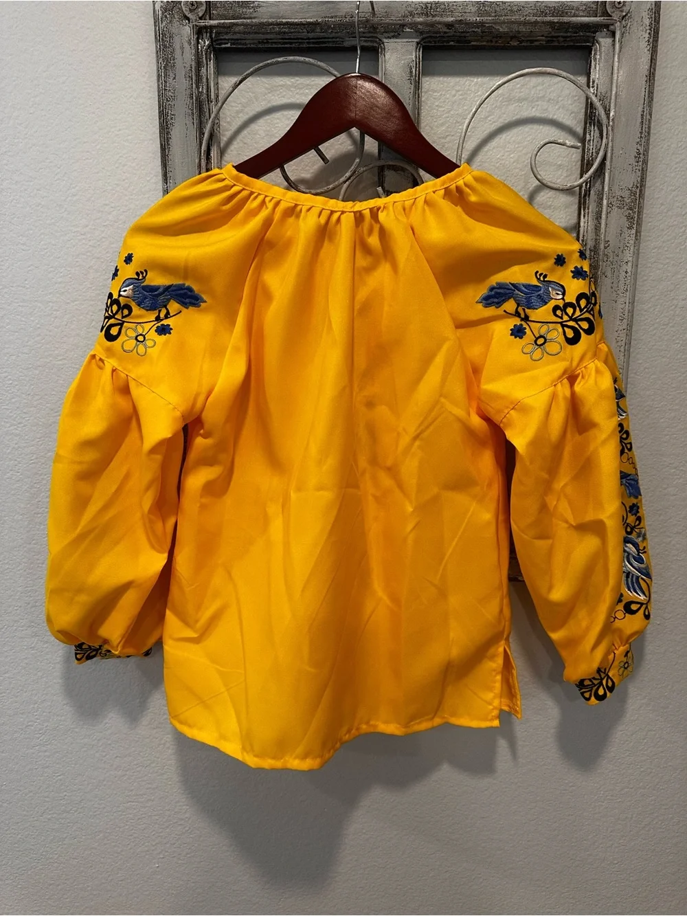 Ukrainian Vishivanka and Skirt Set
